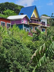 Jardin De Poas Hotel & Nature Resort في Poás: منزل على قمة تل به اشجار