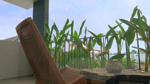 Zahrada ubytování Hanupis Canggu Apartment Villa