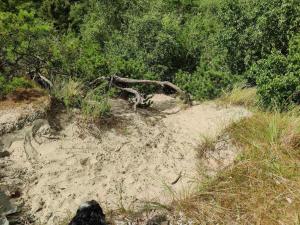 Φυσικό τοπίο κοντά σε αυτή η παραθεριστική κατοικία +23 φωτογραφίες