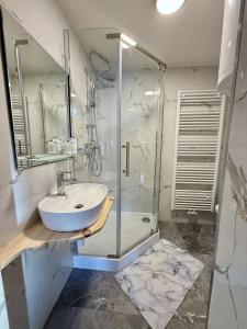 a bathroom with a glass shower and a sink at Apartmány u náměstí in Chřibská