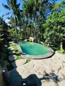 a small swimming pool in a yard with trees at Chaplet House 2 in Ubud
