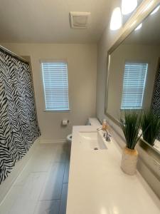 a bathroom with a sink and a mirror at Vees home away from home in Rosharon