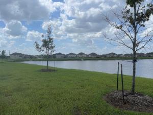 two trees in a field next to a body of water at Vees home away from home in Rosharon