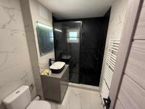 un bagno con un water bianco e un lavandino di Casă Dulcu a Craiova