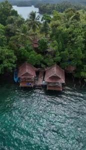 Una vista aérea de un río con casas y árboles. en Shandy Sea, en Besir