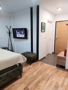 TV a/nebo společenská místnost v ubytování Jagodina studio CRNJANSKI