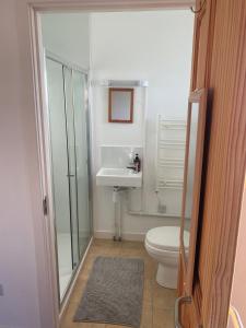 a bathroom with a shower and a toilet and a sink at Speuran Mora in Saasaig