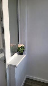 Φωτογραφία από το άλμπουμ του Sea Breeze Apartment σε Sillamae