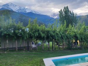 een rij bomen naast een zwembad bij Cabañas Pie del Plata in Mendoza