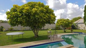 a tree next to a pool with a table and chairs at Serenity Gardens,pool retreat, Kigamboni in Dar es Salaam