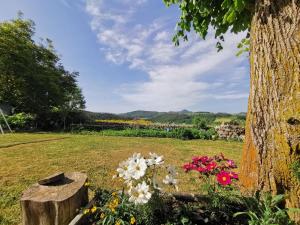 un giardino con fiori accanto a un albero di Chambre Romantique, Le Suc du Pommier a Grazac