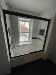 a bathroom with a shower with a glass window at 2 floor townhouse w patio & yard, luxury amenities in Albany