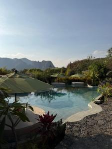 Příroda nedaleko kempu