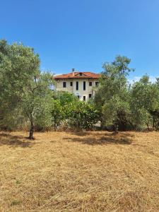 Φωτογραφία από το άλμπουμ του Villa Eleonas στην Αμαλιάπολη