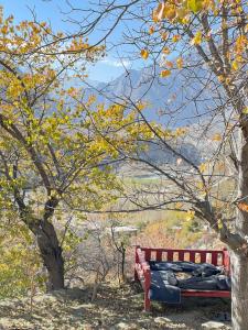 Manasau Resort hunza في هنزه: مقعد في الحديقة الحمراء يجلس بجوار شجرة