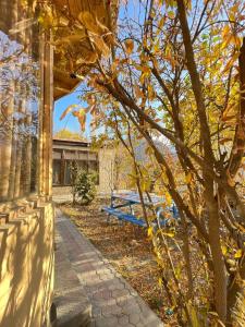 Manasau Resort hunza في هنزه: جلسة على كرسي ازرق بجانب مبنى