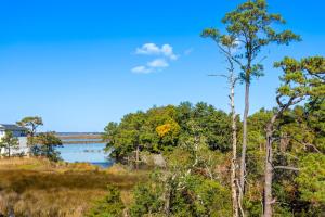Příroda nedaleko prázdninového domu