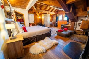 谷雪维尔查温山酒店的一间带床的卧室和一间客厅 更多39张照片