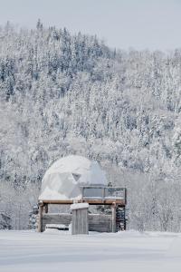 een tent in de sneeuw met een berg op de achtergrond bij Prêt-à-camper, dôme in La Tuque