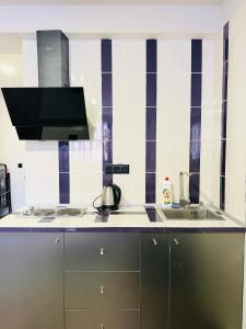 Η κουζίνα ή μικρή κουζίνα στο Gudauri Block F4 +4 φωτογραφίες