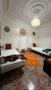 sala de estar con 2 camas y lámpara de araña en Black Pearl surf yoga and skate house, en Tamraght Ouzdar 156 fotos más
