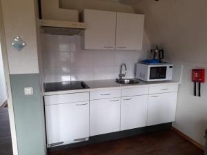Η κουζίνα ή μικρή κουζίνα στο Rustig huis op park in Overijssel
