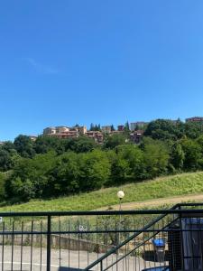 Naturlandskabet i nærheden af lejligheden