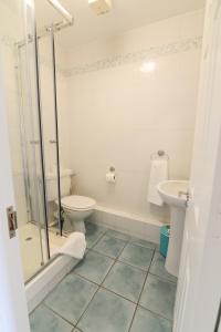 een badkamer met toilet, douche en wastafel bij Dunaras Holiday Village in Galway