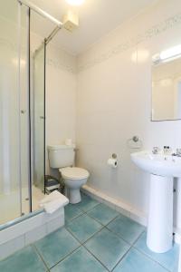 een badkamer met een toilet, een wastafel en een douche bij Dunaras Holiday Village in Galway