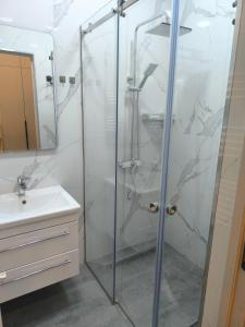 un bagno con doccia e lavandino di Светлый уголок a Yerevan Altre 7 foto