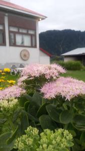 Φωτογραφία από το άλμπουμ του Sky view Resort Shogran σε Shongran