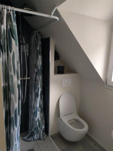 un bagno con un water e una tenda da doccia di Appartement résidence historique centre de Vernon a Vernon