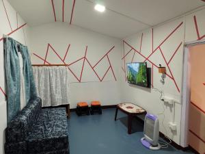 TV a/nebo společenská místnost v ubytování Immaculate Homestay