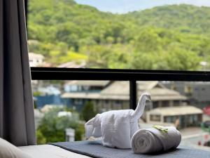 Общий вид на горы или вид на горы из мини-гостиницы