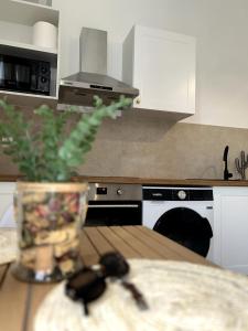 eine Küche mit einem Tisch und einer Topfpflanze darauf in der Unterkunft Appart Cosy près de la Gare & Centre ville in Saint-Étienne + 10 Fotos