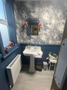 a bathroom with a sink and a mirror at Ashmore House Cashel in Cashel +54 photos