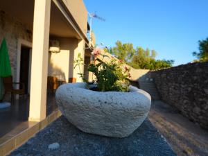 Galeriebild der Unterkunft Apartments Punta in Starigrad-Paklenica