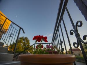 Ein Balkon oder eine Terrasse in der Unterkunft Apartments Punta