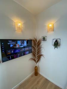 a living room with a tv and a potted plant at Le Cocon d'Oberthur - Proche Thabor in Rennes