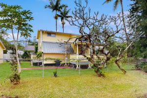 Κήπος έξω από το Sea Turtle Life