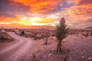Příroda nedaleko prázdninového domu + 5 fotografií