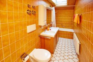 een badkamer met een toilet en een wastafel bij Ferienwohnung Jahn in Oberstdorf