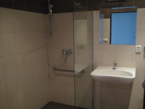 un baño con lavabo y ducha en Penzion Nad Zámeckou zdí, en Trhový Štěpánov