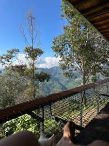 Peisaj natural din apropierea acestui apartament +21 fotografii