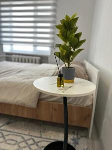 En eller flere senge i et værelse på Уютная квартира возле старого базара