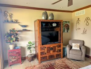 TV a/nebo společenská místnost v ubytování Kapalua Golf Villa 18T 12 + 17 fotografií