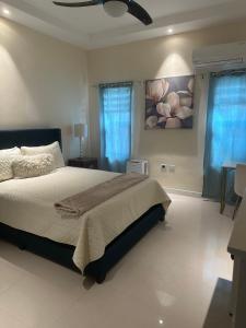een slaapkamer met een bed en een schilderij aan de muur bij Serenity Villa in Ocho Rios +16 foto's