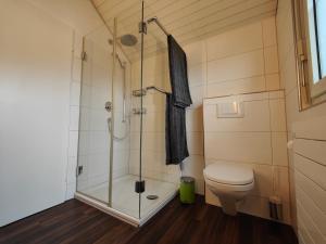 a bathroom with a shower and a toilet at Goldiger Berg - Pilatusweg 6 in Affoltern +2 photos