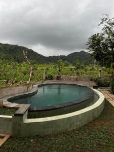 a small pool of water in a garden at Green vanilla Suite 1 in Silebeng