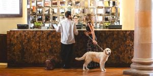 Κατοικίδιο ή κατοικίδια επισκεπτών που μένουν στο Real de Minas San Miguel de Allende +52 φωτογραφίες